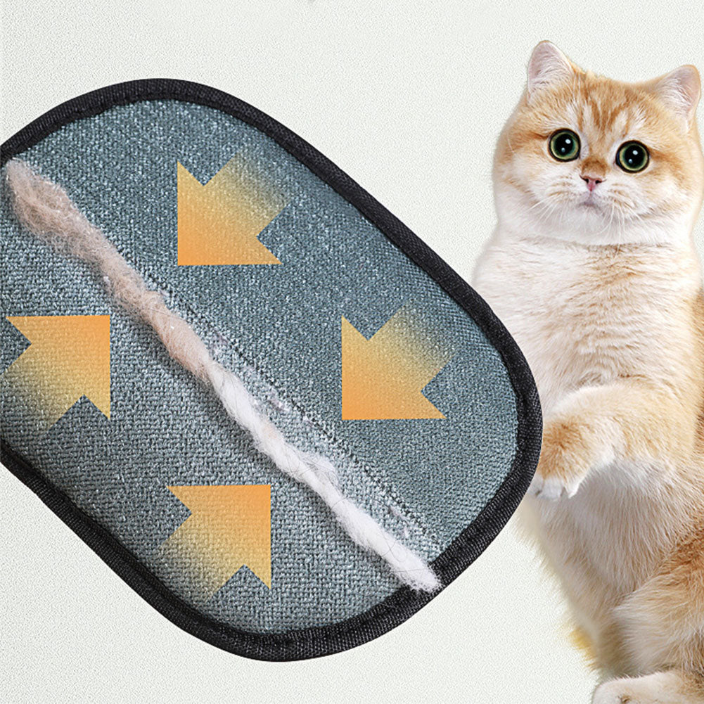 Pet grooming glove collecting loose cat hair
