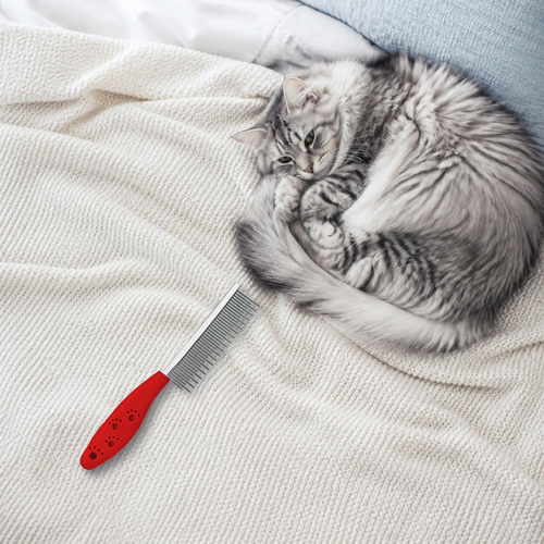 Red dematting comb on a blanket next to a fluffy gray cat