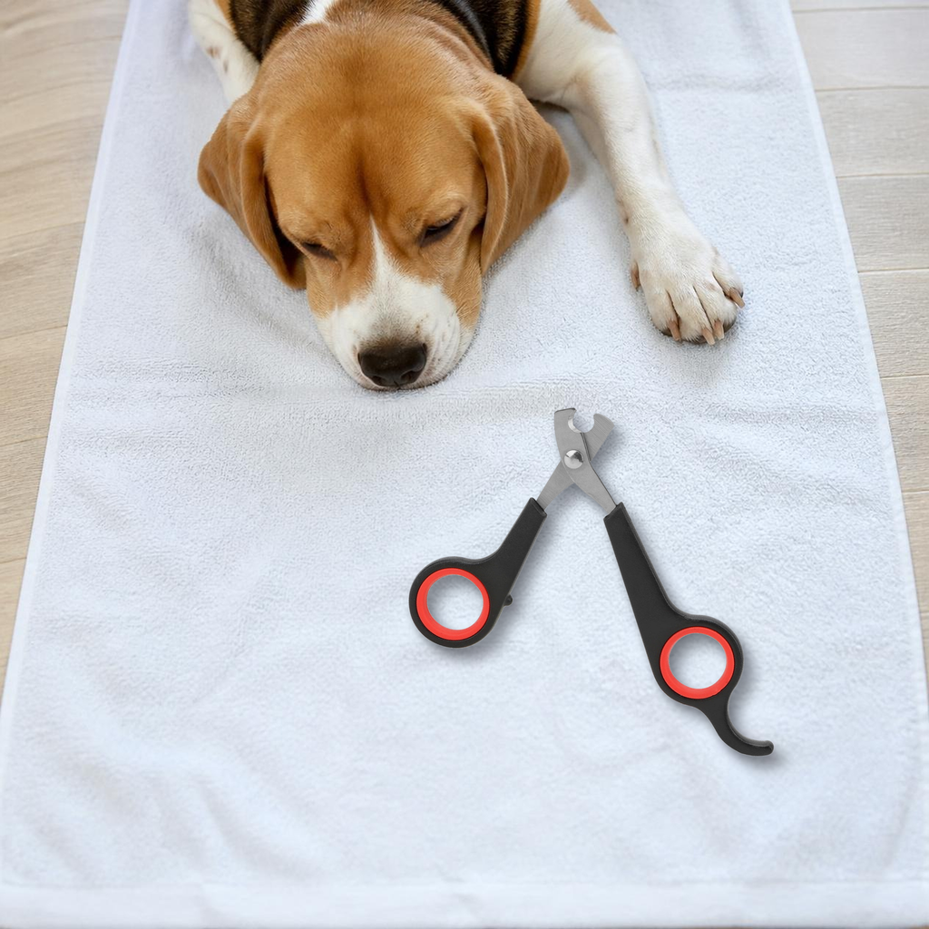 Pet nail clipper on a towel next to a resting beagle